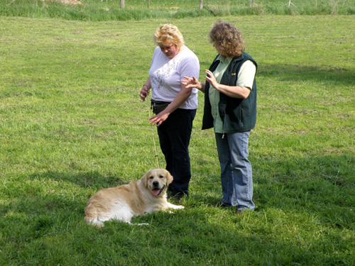 Nicole und Anouk mit Richterin Birgit Rabe bei der Formwertprüfung in Fuldabrück Mai 2009